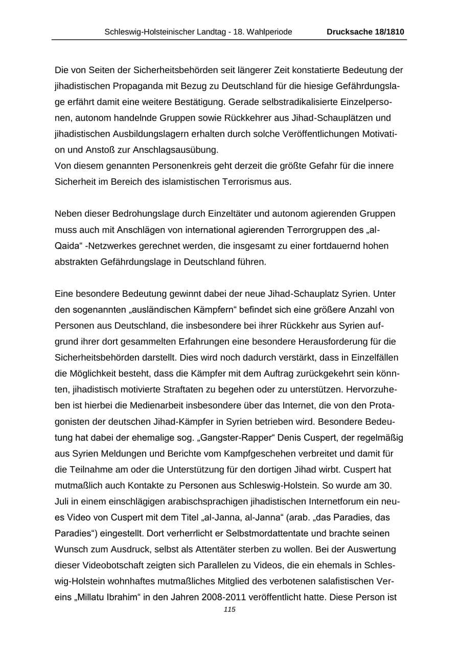 Seite 115 des Verfassungsschutzbericht 2013 Schleswig-Holstein
