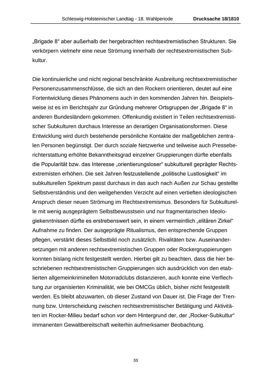 Seite 55 des Verfassungsschutzbericht 2013 Schleswig-Holstein