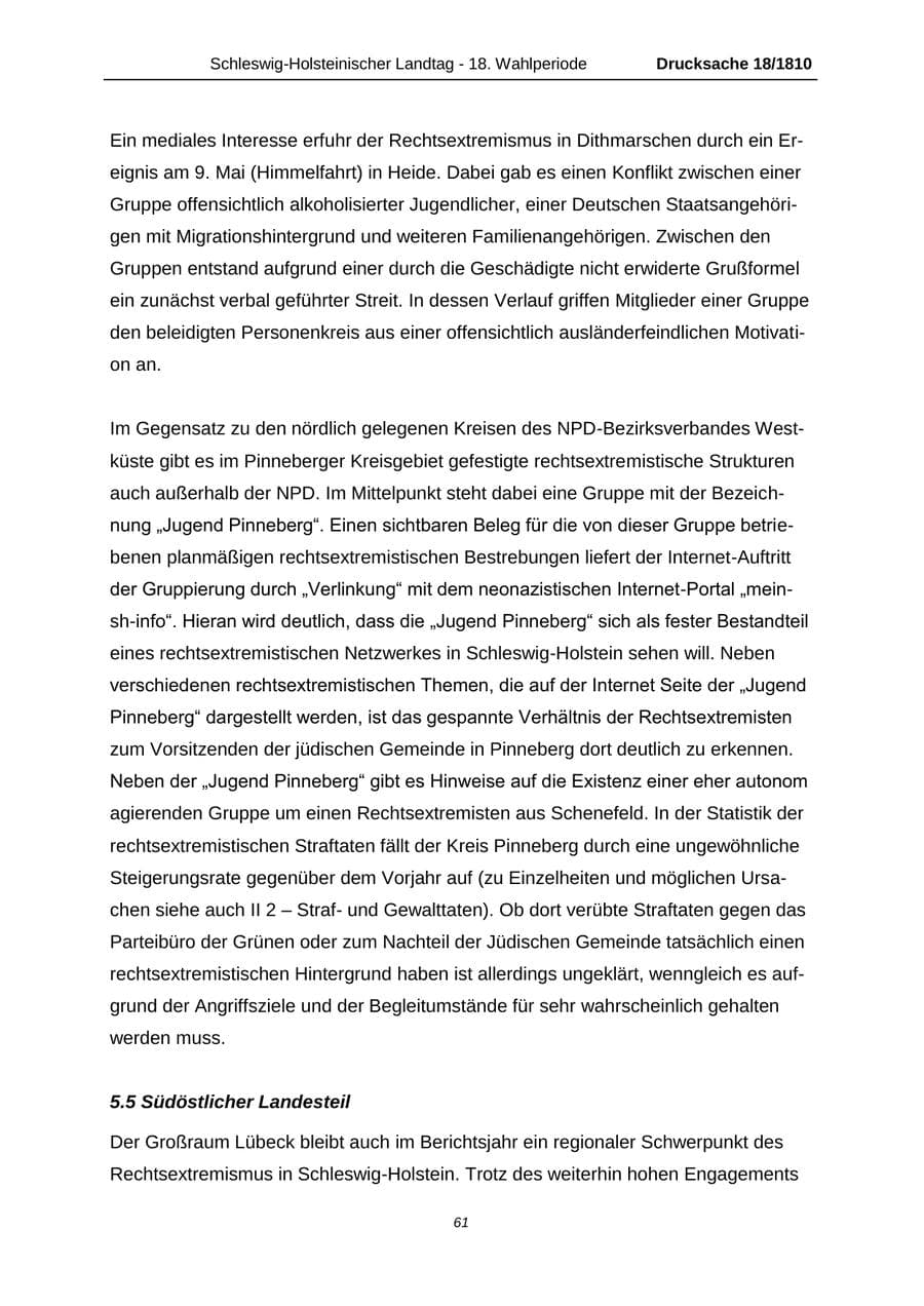 Seite 61 des Verfassungsschutzbericht 2013 Schleswig-Holstein