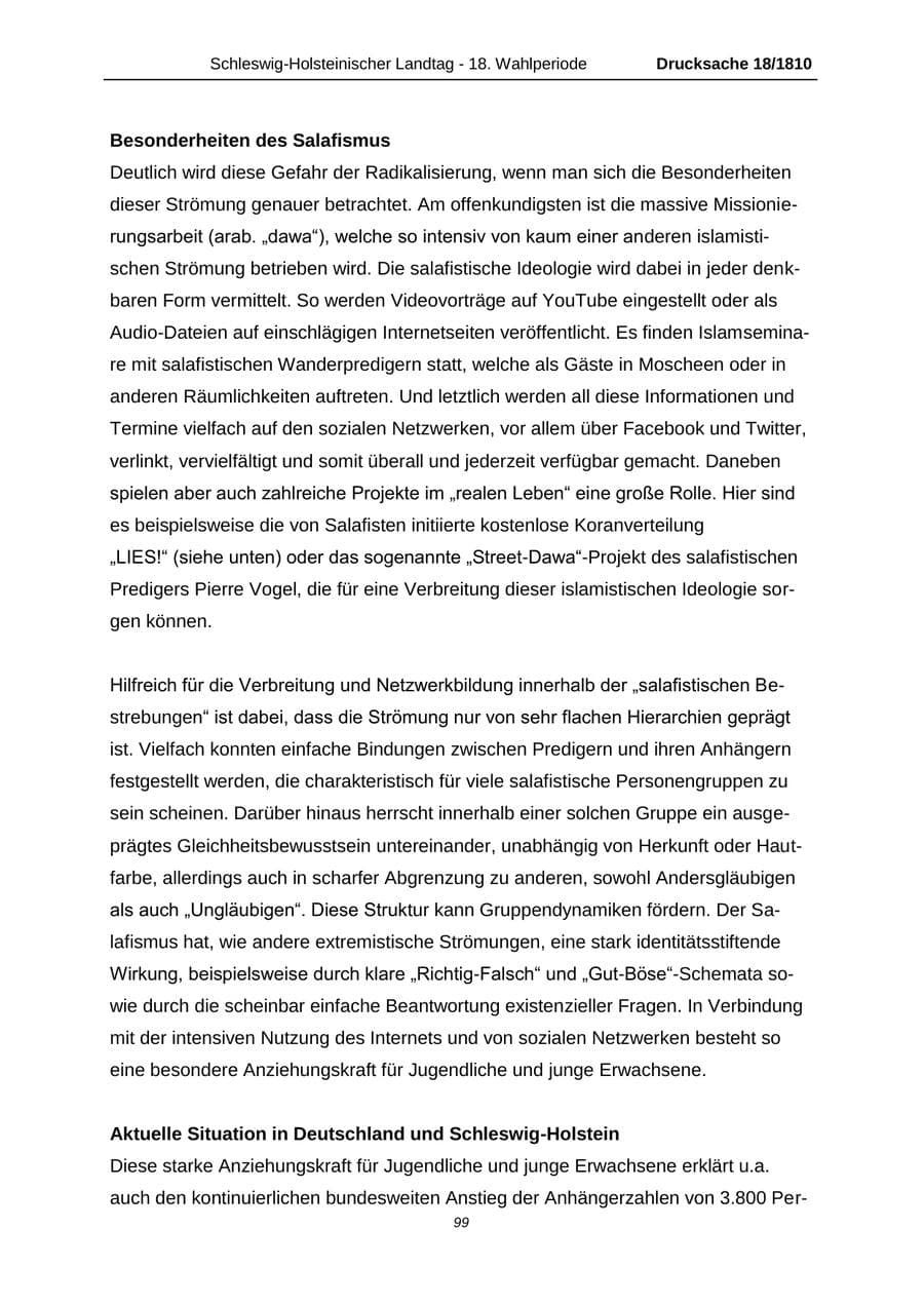 Seite 99 des Verfassungsschutzbericht 2013 Schleswig-Holstein