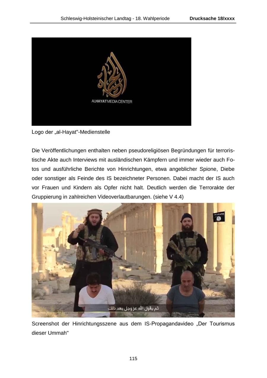 Seite 115 des Verfassungsschutzbericht 2015 Schleswig-Holstein