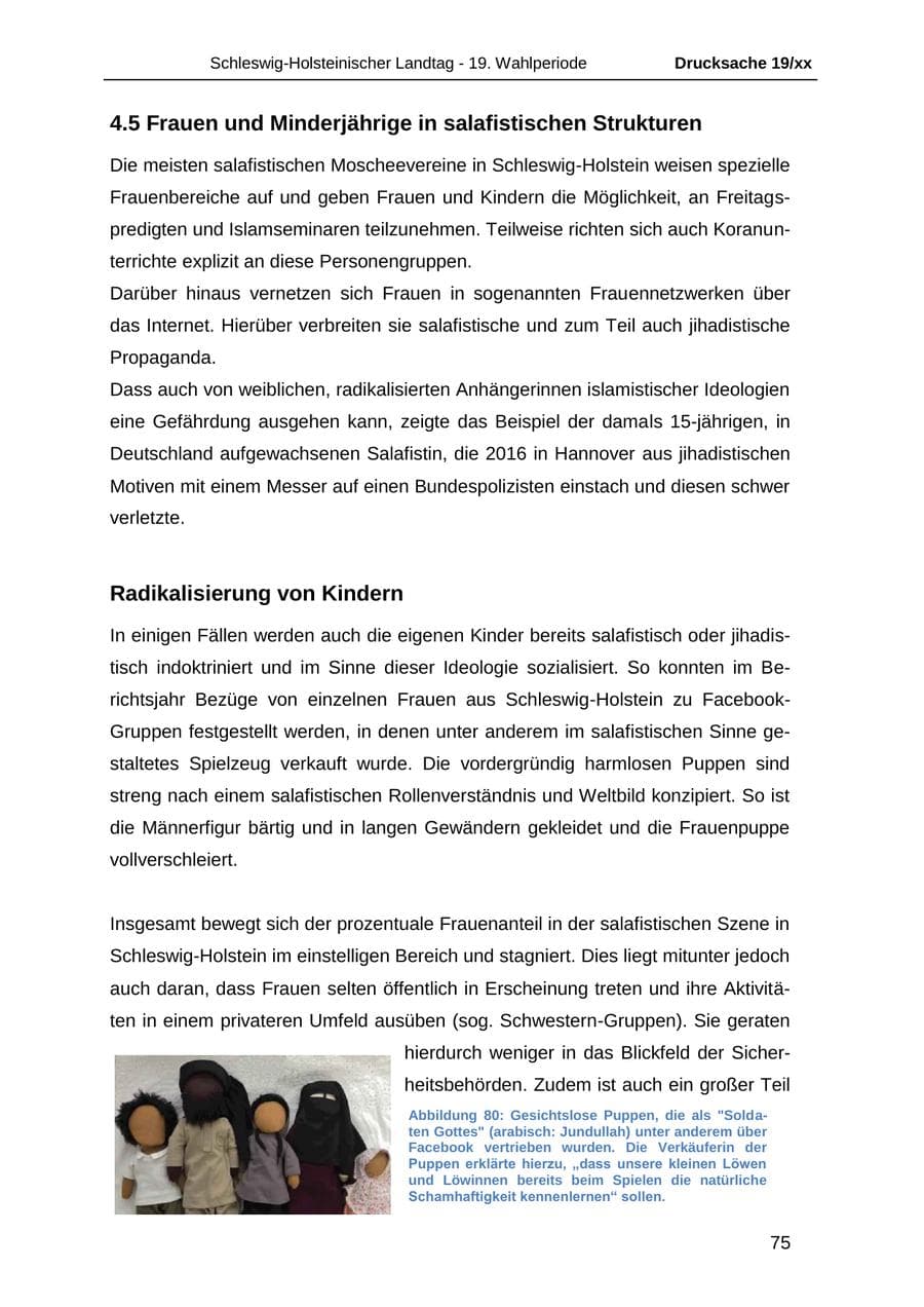 Seite 87 des Verfassungsschutzbericht 2018 Schleswig-Holstein