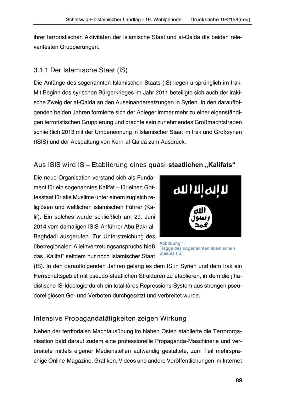 Seite 103 des Verfassungsschutzbericht 2019 Schleswig-Holstein