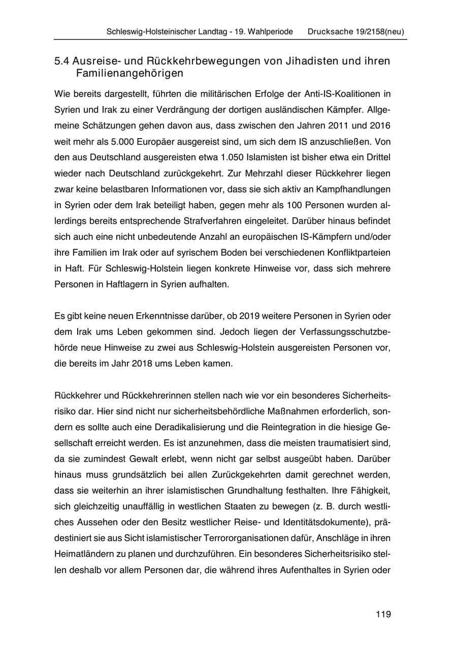 Seite 133 des Verfassungsschutzbericht 2019 Schleswig-Holstein