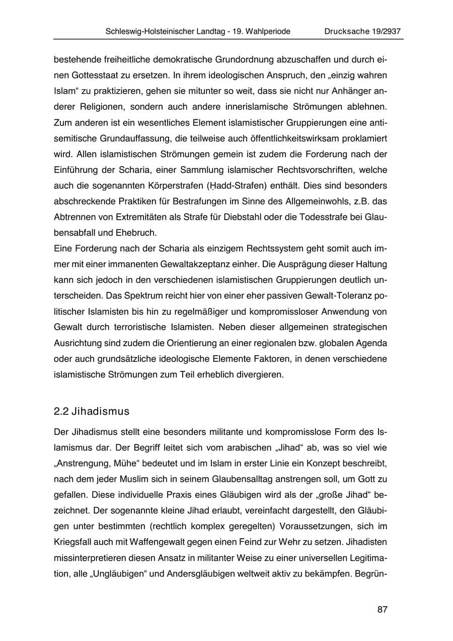 Seite 99 des Verfassungsschutzbericht 2020 Schleswig-Holstein