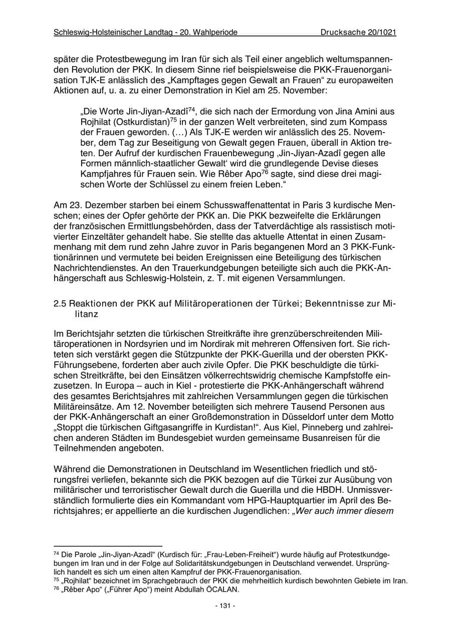 Seite 133 des Verfassungsschutzbericht 2022 Schleswig-Holstein