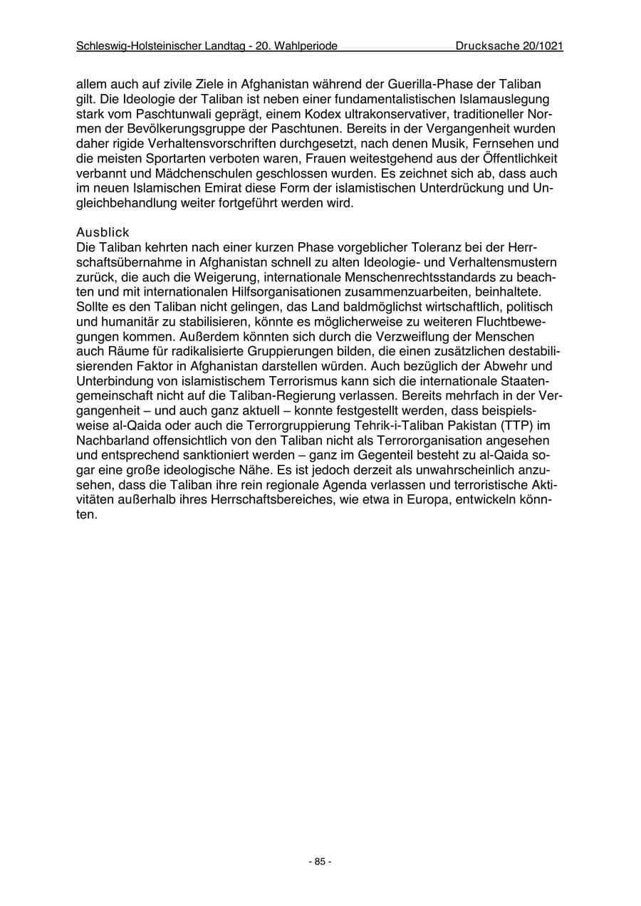 Seite 87 des Verfassungsschutzbericht 2022 Schleswig-Holstein