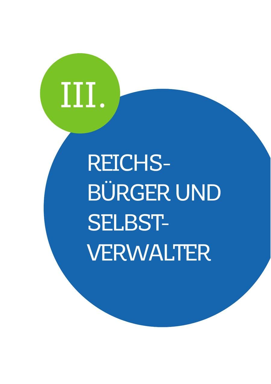 Seite 33 des Verfassungsschutzbericht 2022 Saarland