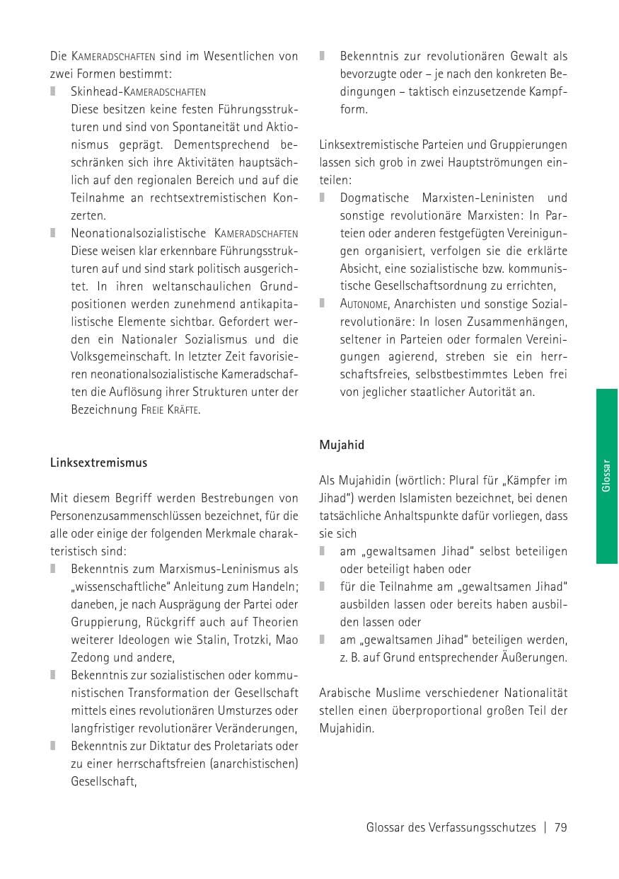 Seite 81 des Verfassungsschutzbericht 2010 Sachsen
