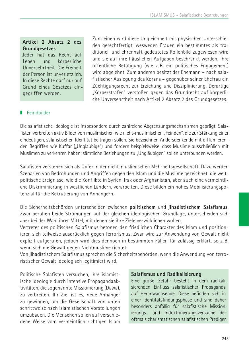 Seite 245 des Verfassungsschutzbericht 2017 Sachsen