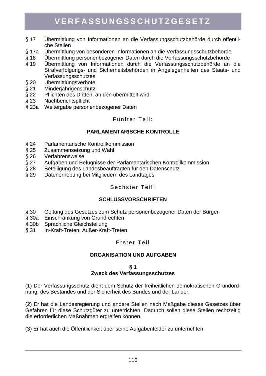 Seite 113 des Verfassungsschutzbericht 2007 Sachsen-Anhalt