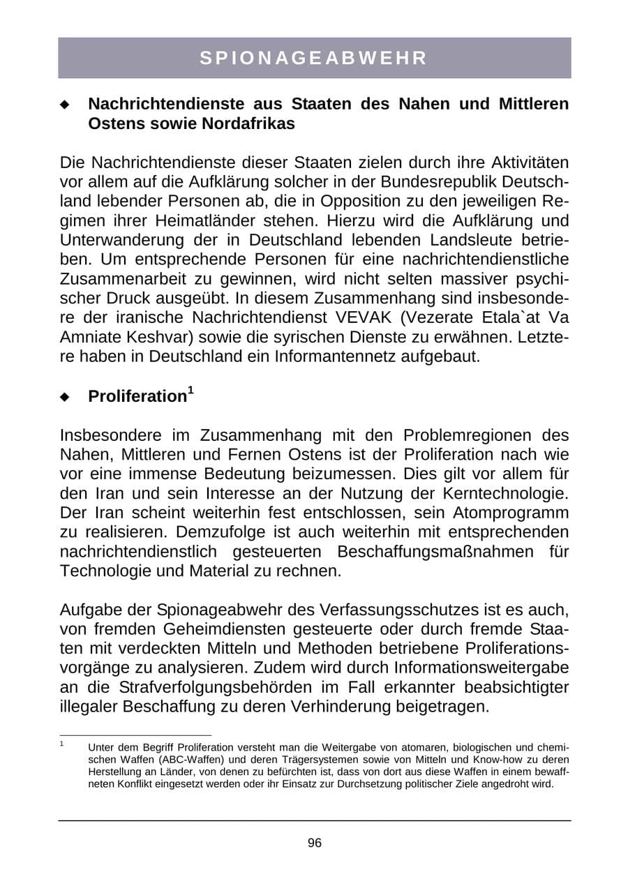 Seite 99 des Verfassungsschutzbericht 2007 Sachsen-Anhalt
