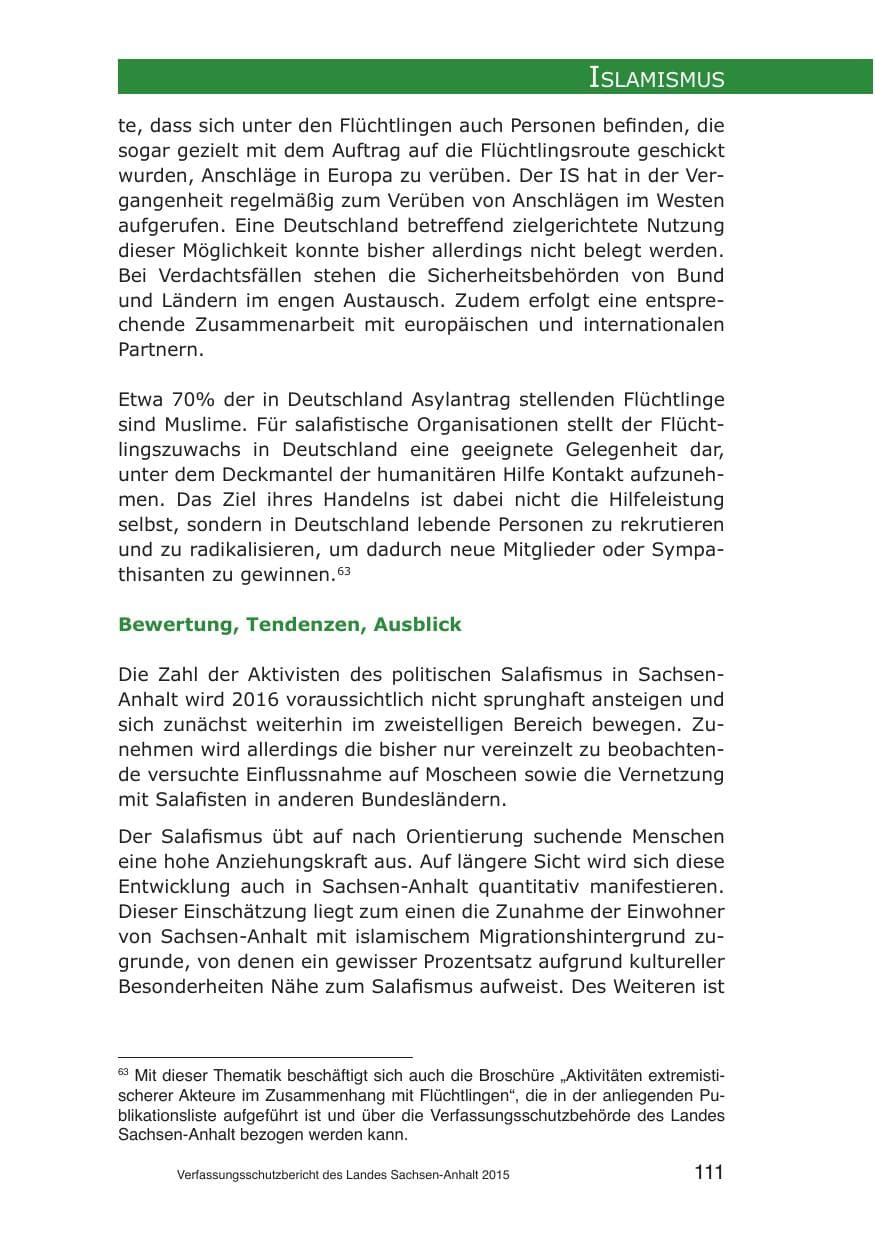 Seite 111 des Verfassungsschutzbericht 2015 Sachsen-Anhalt