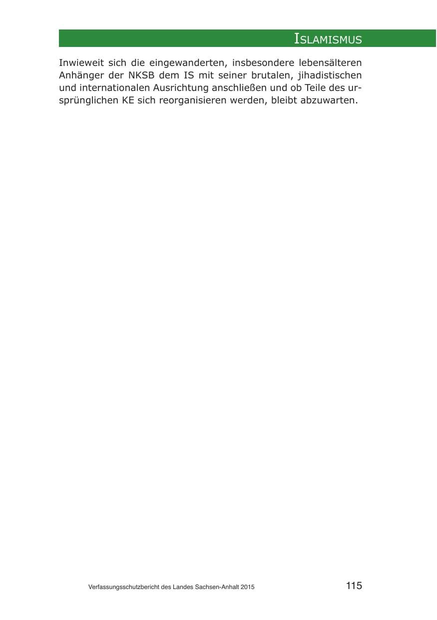 Seite 115 des Verfassungsschutzbericht 2015 Sachsen-Anhalt