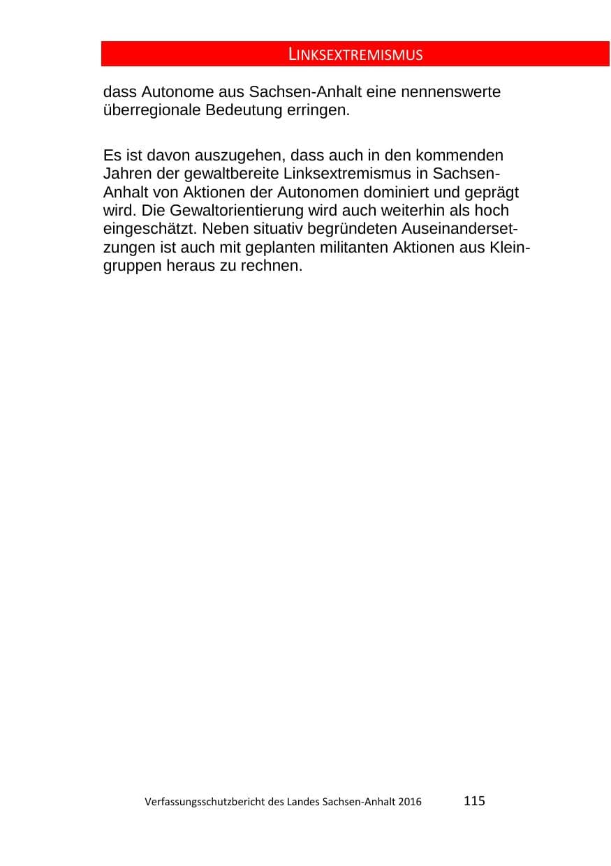 Seite 115 des Verfassungsschutzbericht 2016 Sachsen-Anhalt