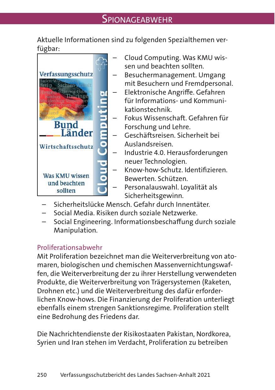 Seite 252 des Verfassungsschutzbericht 2021 Sachsen-Anhalt