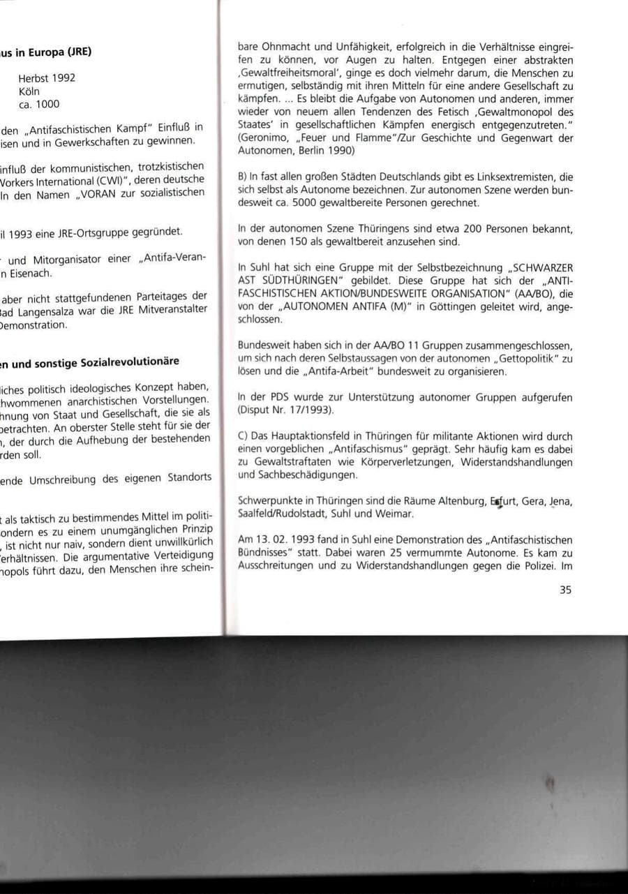Seite 35 des Verfassungsschutzbericht 1993 Thüringen