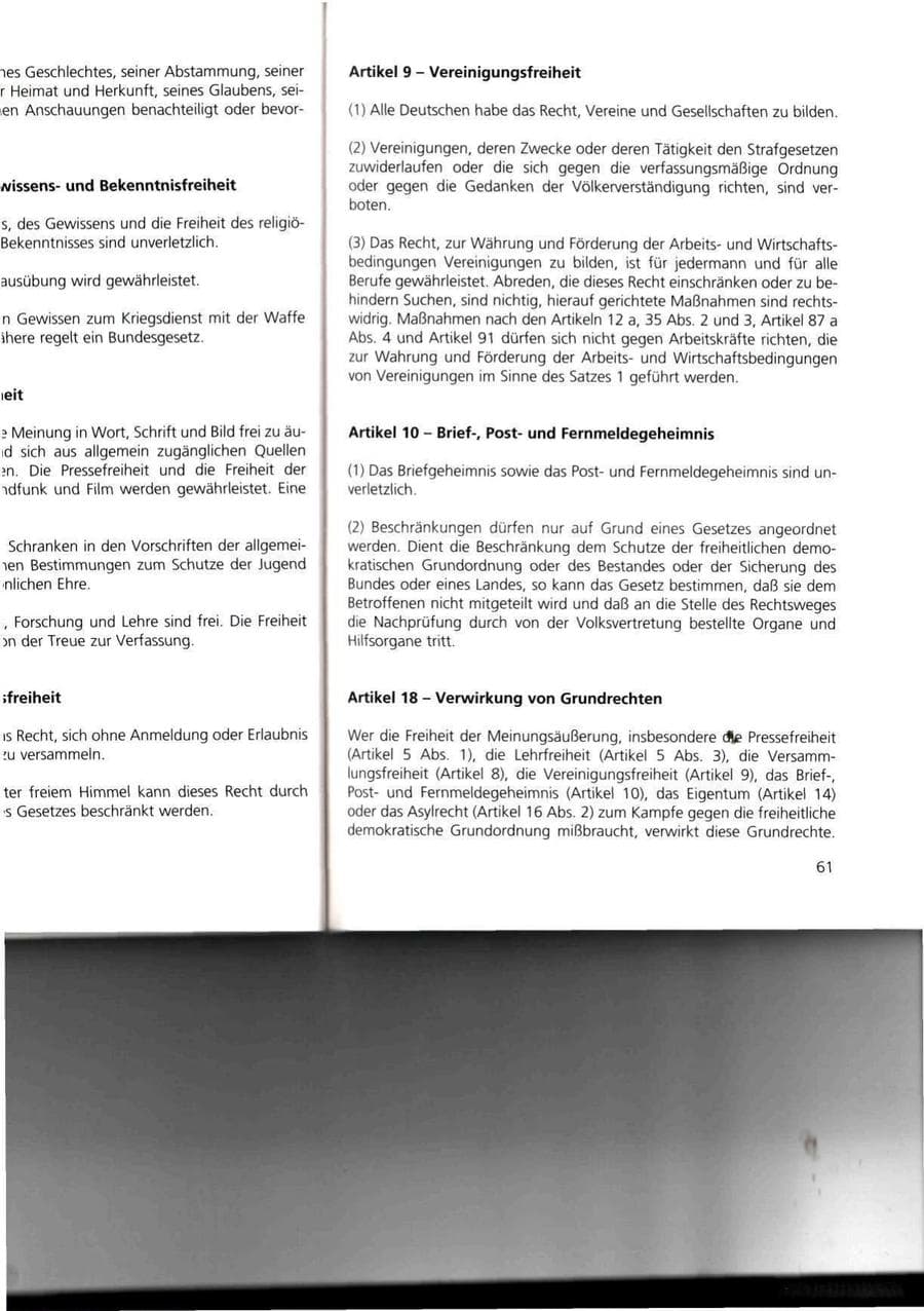 Seite 61 des Verfassungsschutzbericht 1993 Thüringen