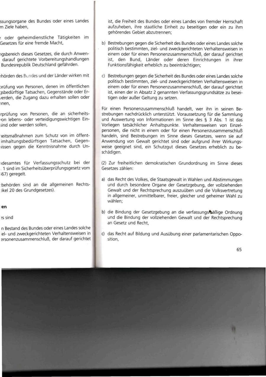 Seite 65 des Verfassungsschutzbericht 1993 Thüringen