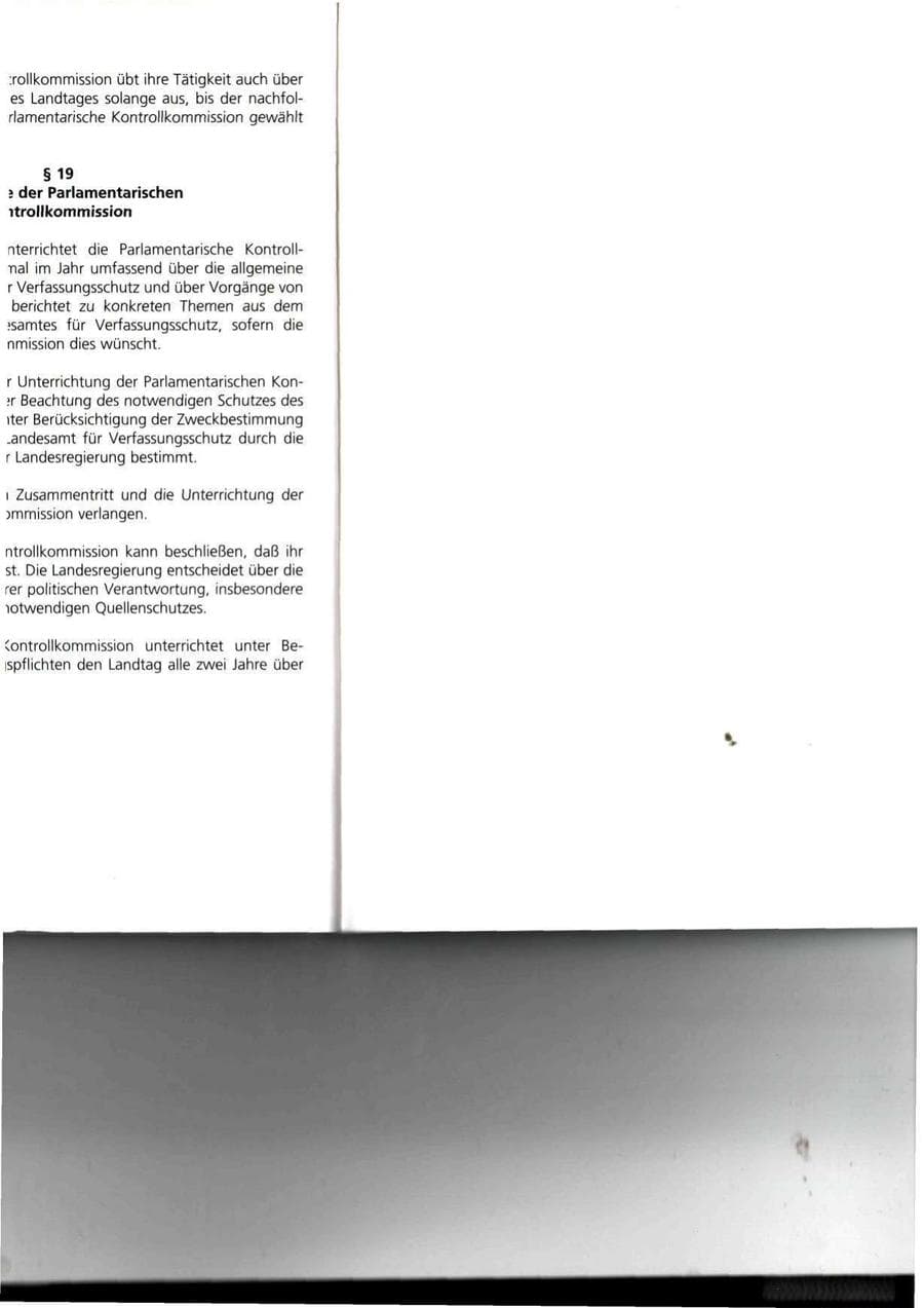 Seite 93 des Verfassungsschutzbericht 1993 Thüringen