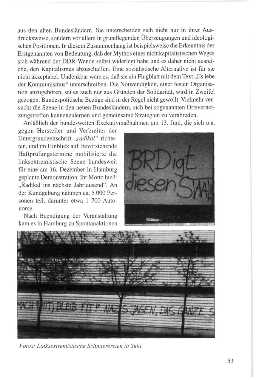 Seite 53 des Verfassungsschutzbericht 1995 Thüringen