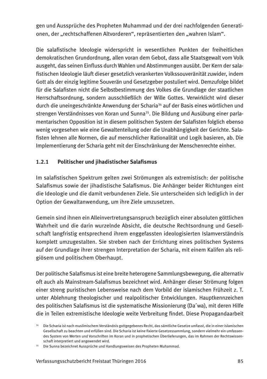 Seite 87 des Verfassungsschutzbericht 2016 Thüringen
