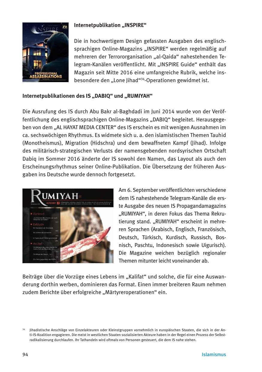 Seite 96 des Verfassungsschutzbericht 2016 Thüringen
