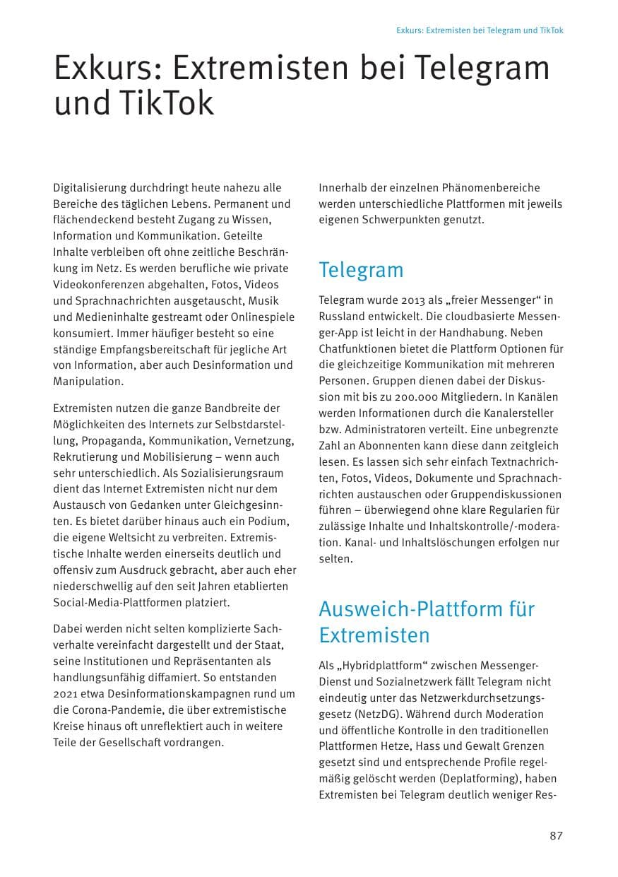 Seite 87 des Verfassungsschutzbericht 2021 Thüringen